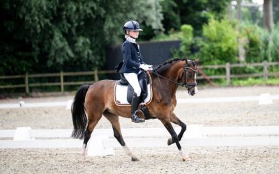 Fayèn Schneijderberg: Zuid-Hollands beste