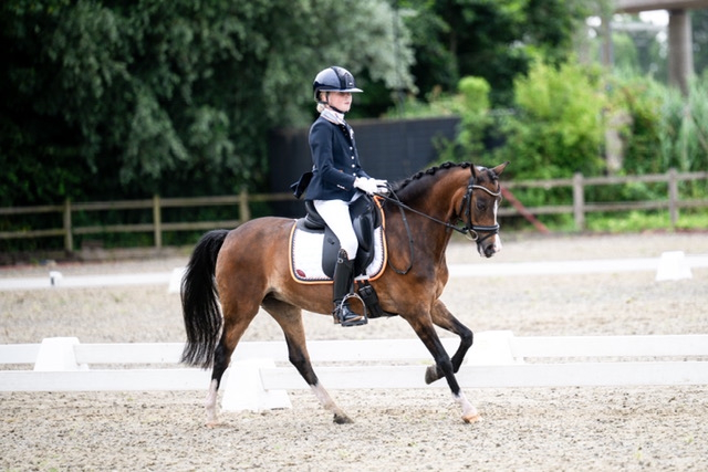 Fayèn Schneijderberg: Zuid-Hollands beste
